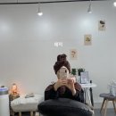 시리살롱 이미지