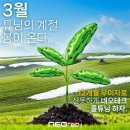 신이테크 | [자동차] 네오테크 EVO 4P 장착 후기