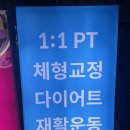 대경메디칼 | [포그로스 목동]목동PT /오목교PT /목동헬스장/ 방문 후기