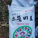 김영기 농장 이미지