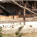 공인중개사사무소담장 이미지