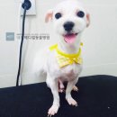 네오 동물병원 이미지