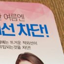 넬디자인 이미지