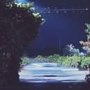 소롱코지 이미지