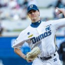 라이언스 하트 이미지