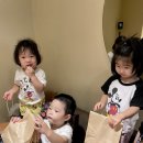 카페775