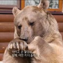 아이고와