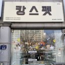 펫스파 | 부천애견미용 추천｜상동애견미용 캉스펫 스파·곰돌이컷 후기🐾