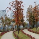 정숙옹주태실비 이미지