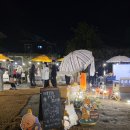 도그아트 | 홍고통 밤장 도그캠프마켓 후기｜홍성 반려동물 야시장 속 리펫(RE:펫) 아트부스 이야기