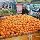 체리마트 이미지