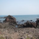 대포연대 이미지