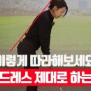 🚩파크골프 어드레스 방법🚩 이미지