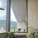 [내돈내산] 제주도 함덕해변 카페 추천! 모든 좌석이 바다뷰인 뷰맛집 야야카페 솔직후기!