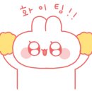 핑크슈슈 이미지
