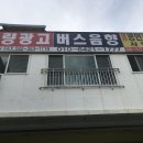 대전실사 이미지