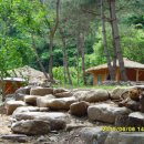 다함한의원 이미지