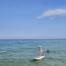 @스마프 | 강원도 양양 여행 꿀팁, 양양 관광지 놀거리 고고양양 이용 후기