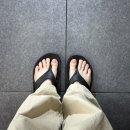 다날_페이업_일반비 | 여름 커플 쪼리 추천 | 우포스 쪼리 내돈내산 후기 (+사이즈팁)