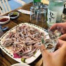 앞산애산오징어