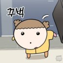 프렌치클로에 프랑스어 과외 후기