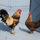 현인농원 이미지