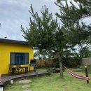 제주애 반하다 이미지