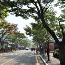 불갑사 관광안내소 티스토리