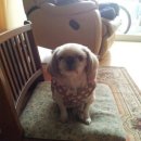 주주동물병원 이미지