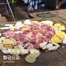 황금오리 - 동구 송라로 139-1 | 용인 기흥 오리고기 맛집 황금오리 돌판 오리로스 후기