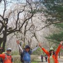 4월7일(일)삼성산+충훈부벚꽃놀이 이미지