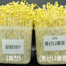 국립식량과학원 - 7448 | 국립식량과학원