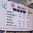 돼지박사