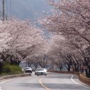 하동문화예술회관 이미지