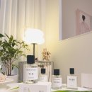 리듬 오브 코리아 | 히어로즈오브코리아 허준 Eau de Parfum “마음이 흔들릴 때마다, 이 향이 나를 다시 단단하게 세워...