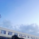 성산에 오거들랑 | [제주배낭여행] 1-3 성산에 오거들랑 게스트하우스