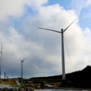 양대목장 이미지