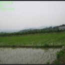 상주시청리면삼괴보건진료소 이미지