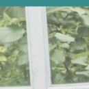 맘스외과성형외과의원 이미지