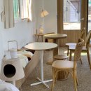 세븐일레븐포천고모리점 | 포천 애견동반 카페 서로하다, 커피 맛은 물론 돼지바 냥이로 힐링