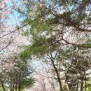 정관이지부동산공인중개사사무소 이미지