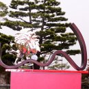 SAINT9(세인트나인) 이미지