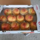 금봉 농장 이미지