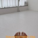 네일보소 이미지