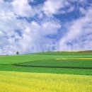 한국의 풍류, 시조(2) | [사설시조] 논밭 갈아 기음 매고