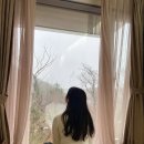 자연과 건강(산야초 이야기) | 강원도 홍천 숙소 정원동 스위트 힐리언스 선마을 추천 겨울여행