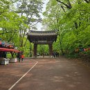 유림자원 | 20250511보은 법주사 괴산화양 구곡 투어 후기