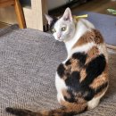 천년나무1단지 이미지