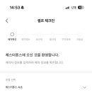 체스터톤스 - 34445 | 체스터톤스