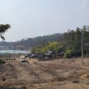 영천 조치우 옥비 이미지